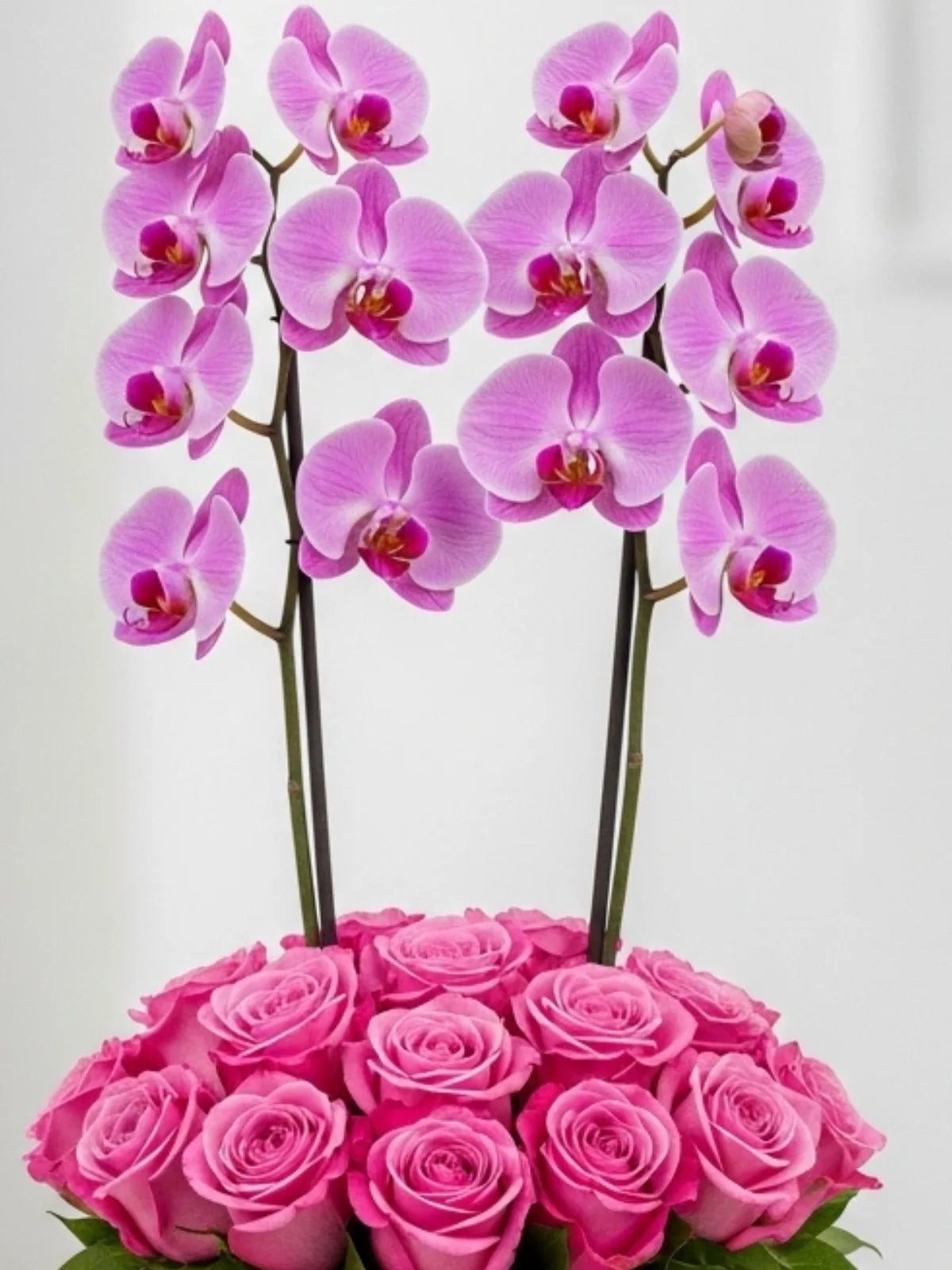 Arreglo en Caja: 24 Rosas Rosa y Orquídeas · foto 2