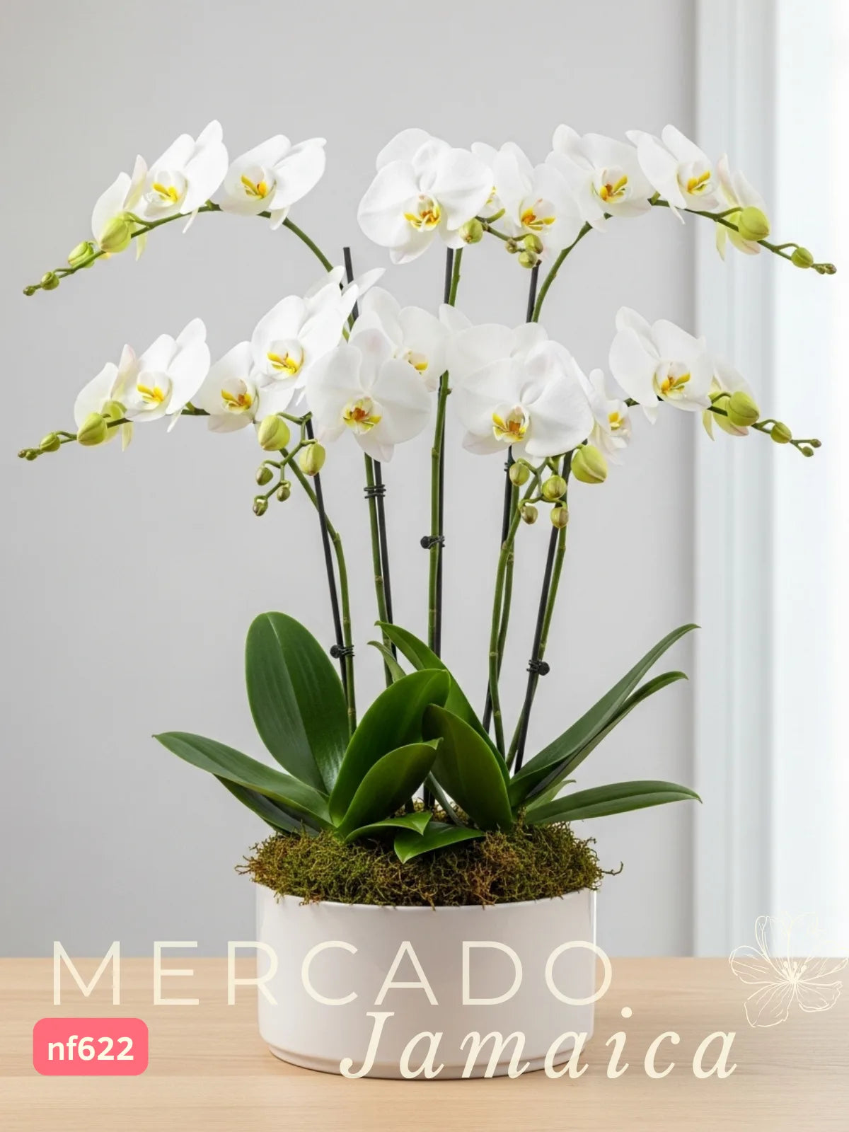 Arreglo 3 Orquídeas Blancas Phalaenopsis · foto 1