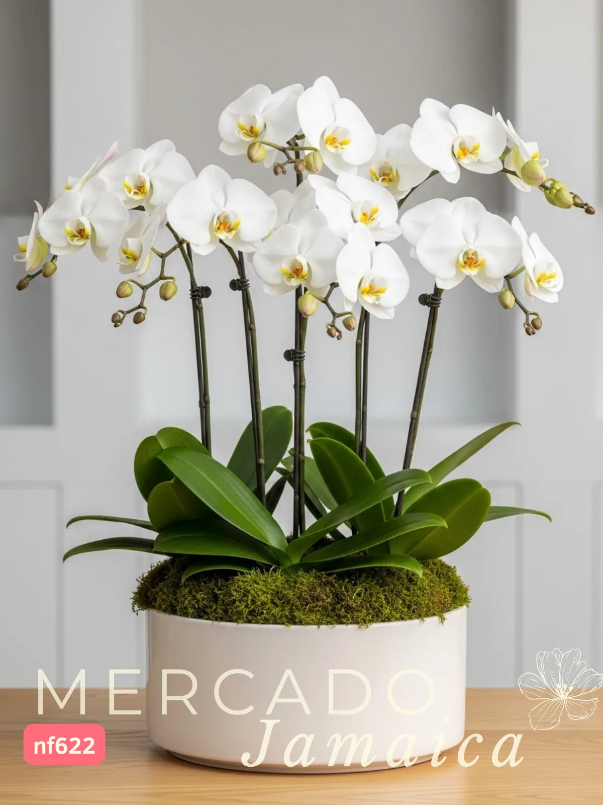 Arreglo 3 Orquídeas Blancas Phalaenopsis · foto 3
