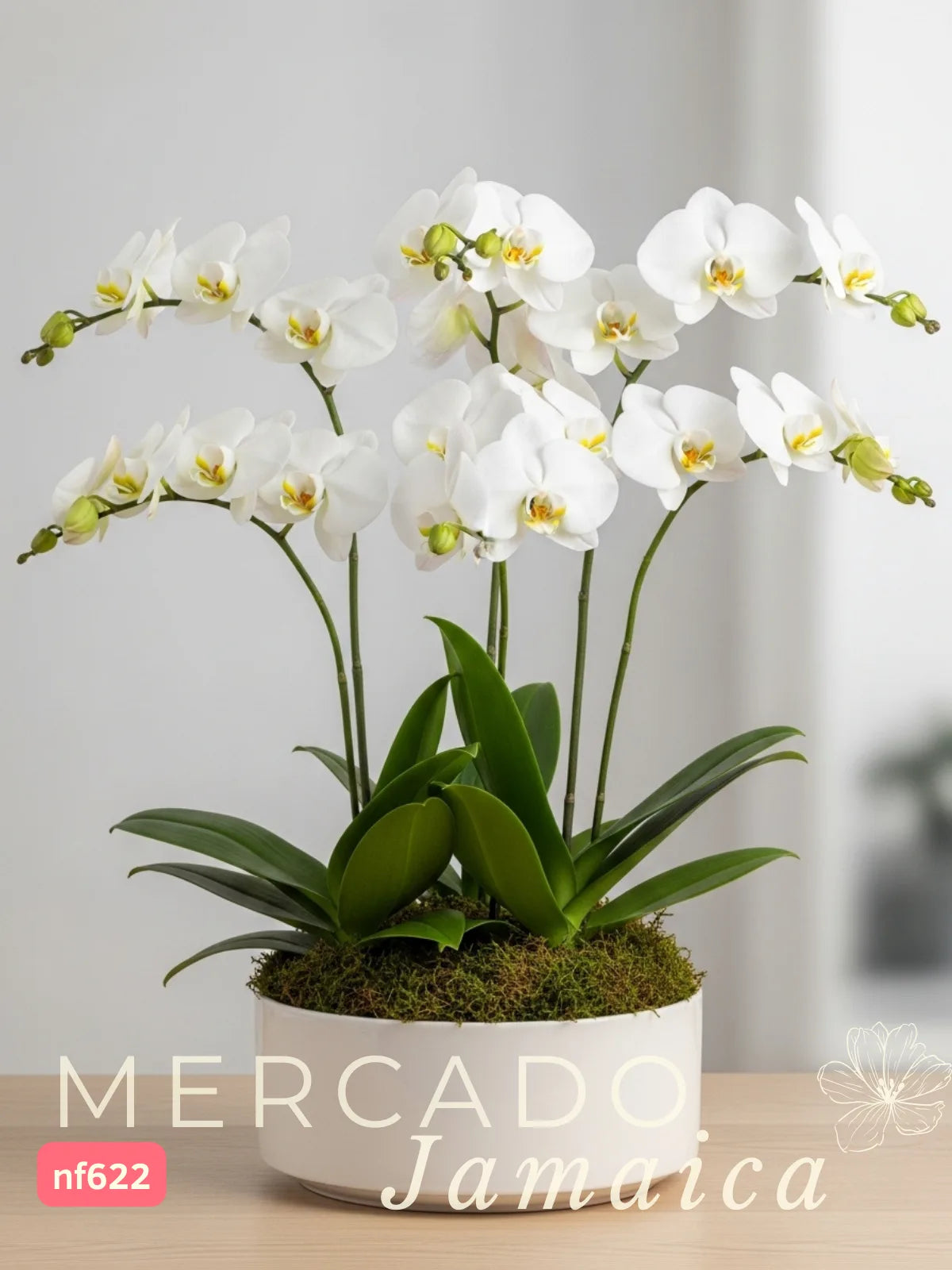 Arreglo 3 Orquídeas Blancas Phalaenopsis · foto 2