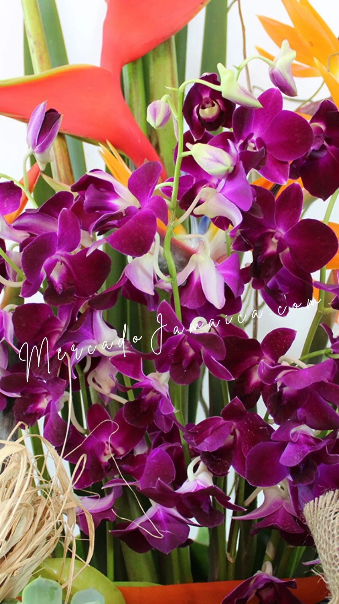 Canasta Frutal con Orquídeas Lila y Vino · foto 1