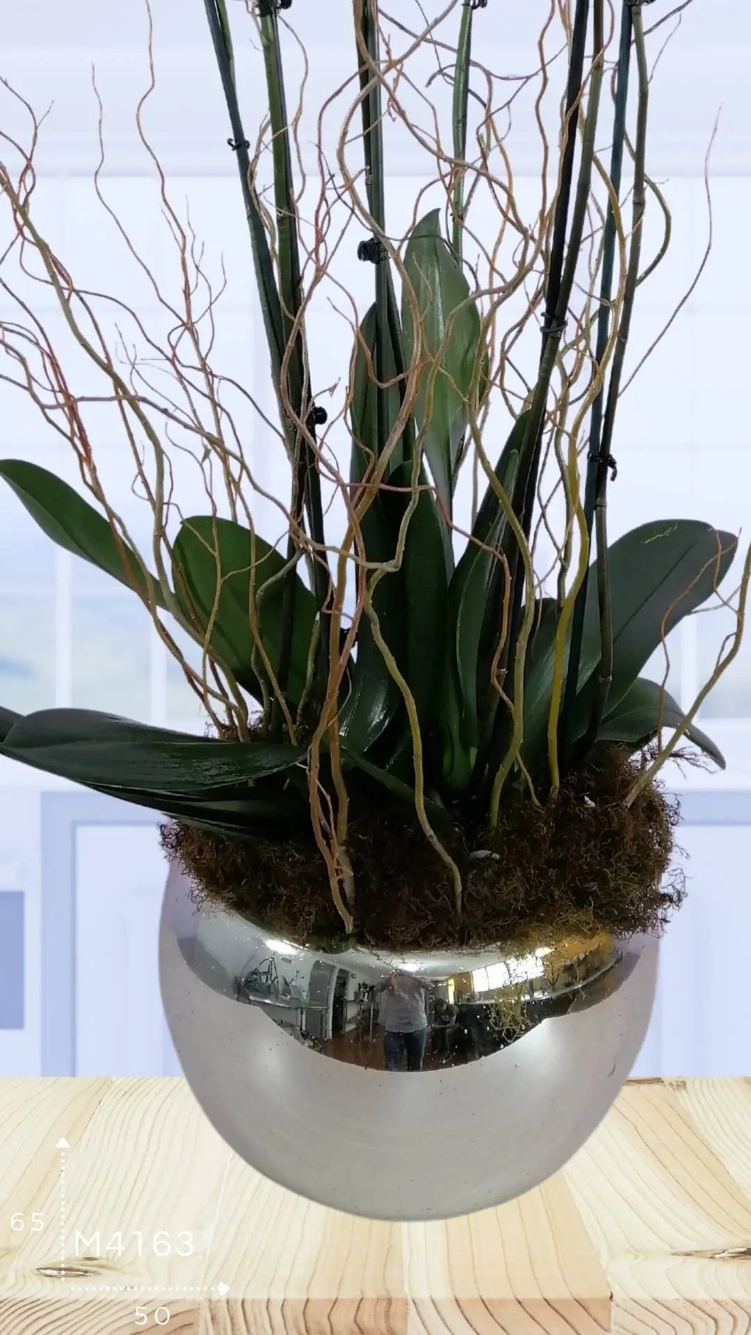 3 Orquídeas Phalaenopsis Blancas Doble Tallo · foto 2