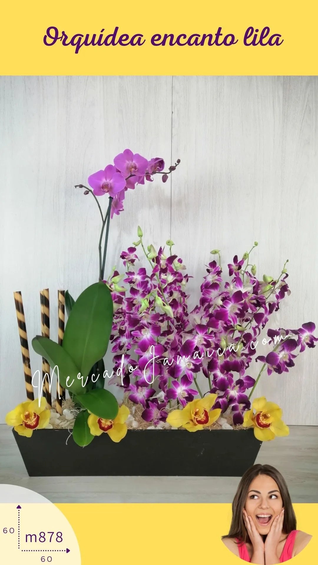 Arreglo Orquídeas Lila Phalaenopsis · foto 1