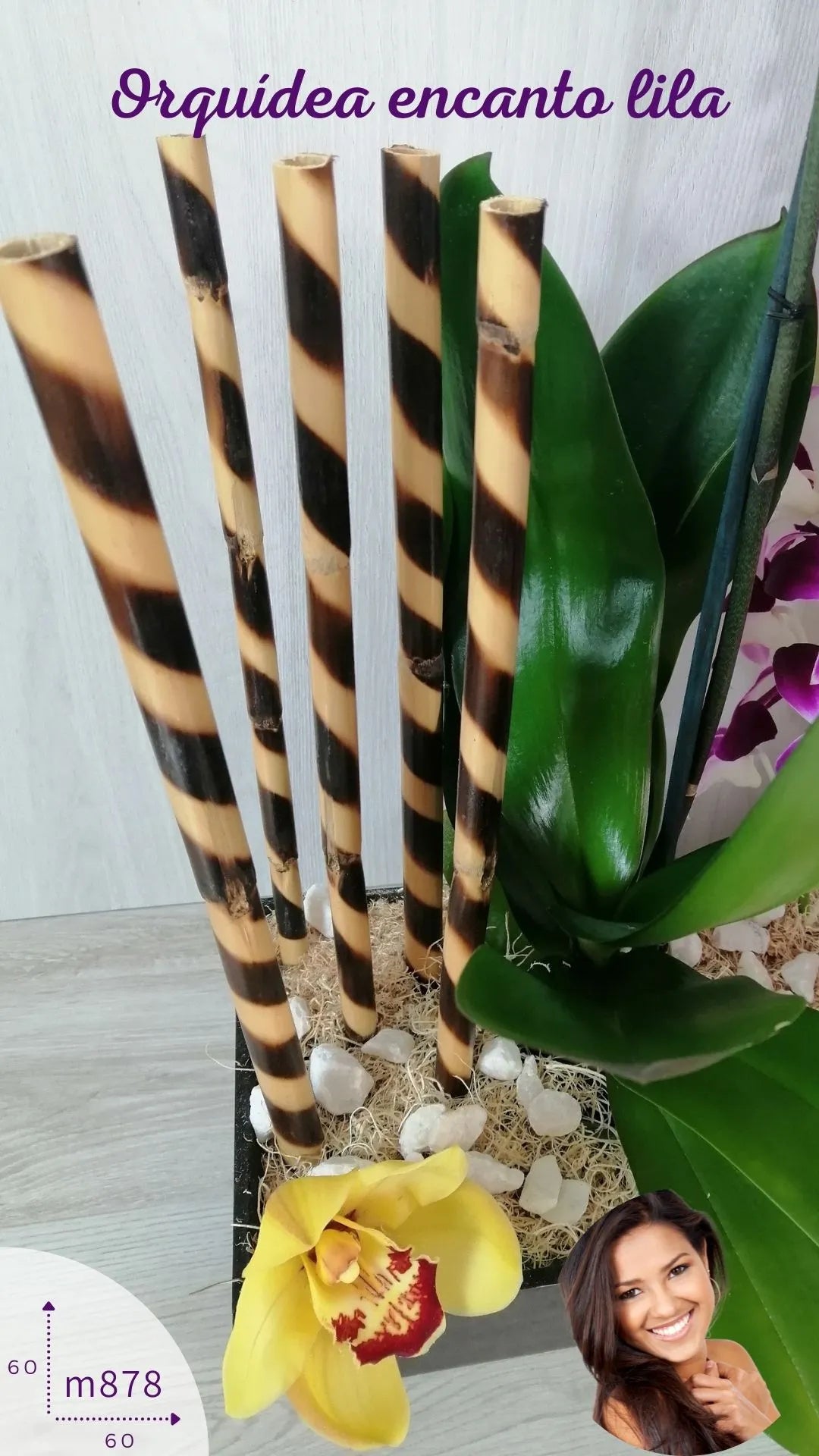 Arreglo Orquídeas Lila Phalaenopsis · foto 4