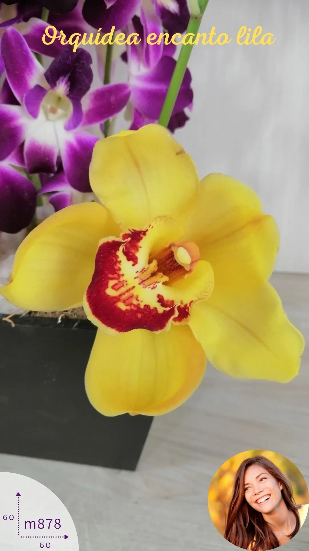 Arreglo Orquídeas Lila Phalaenopsis · foto 5