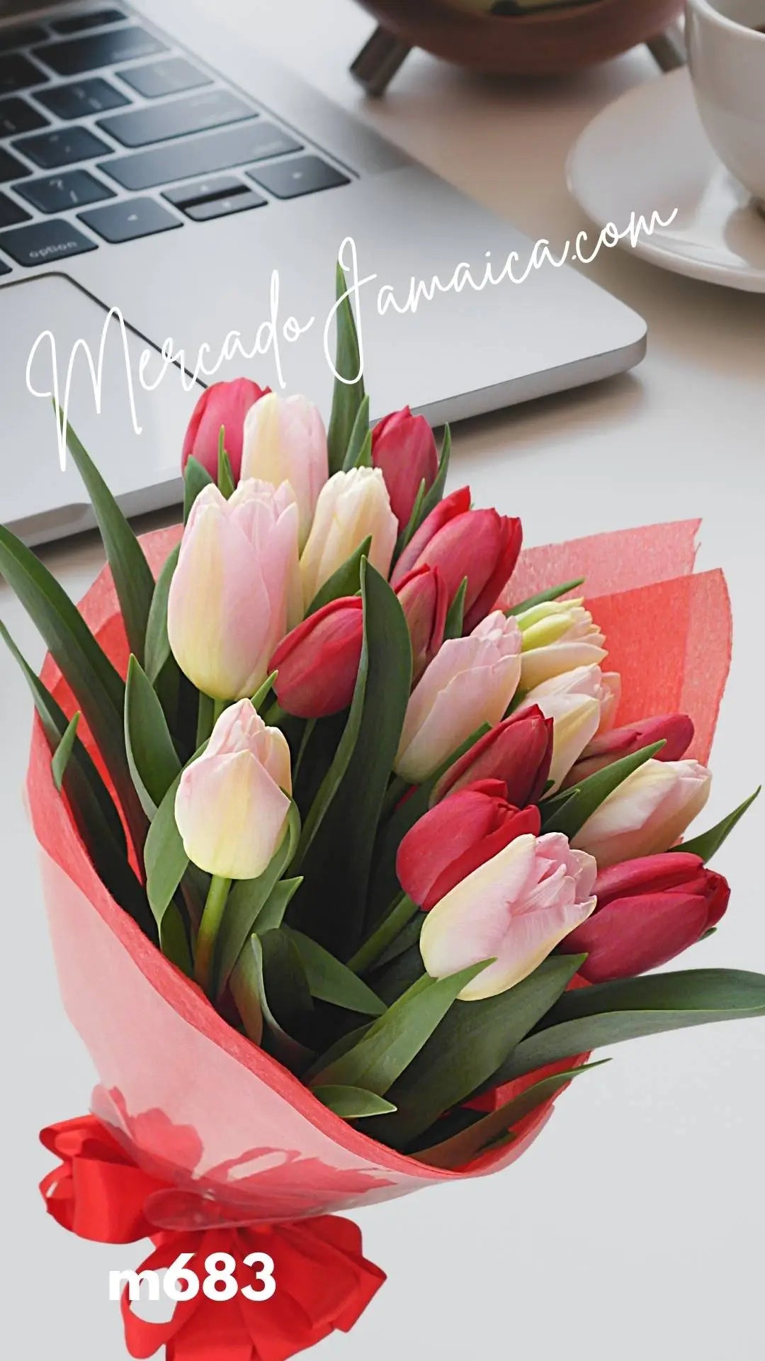 Ramo 20 Tulipanes Rojos y Rosa · foto 2