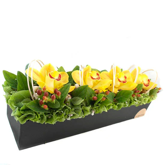 4 Orquídeas Cymbidium Amarillas – Arreglo · foto 3