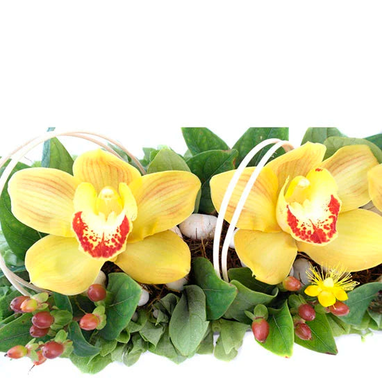 4 Orquídeas Cymbidium Amarillas – Arreglo · foto 2