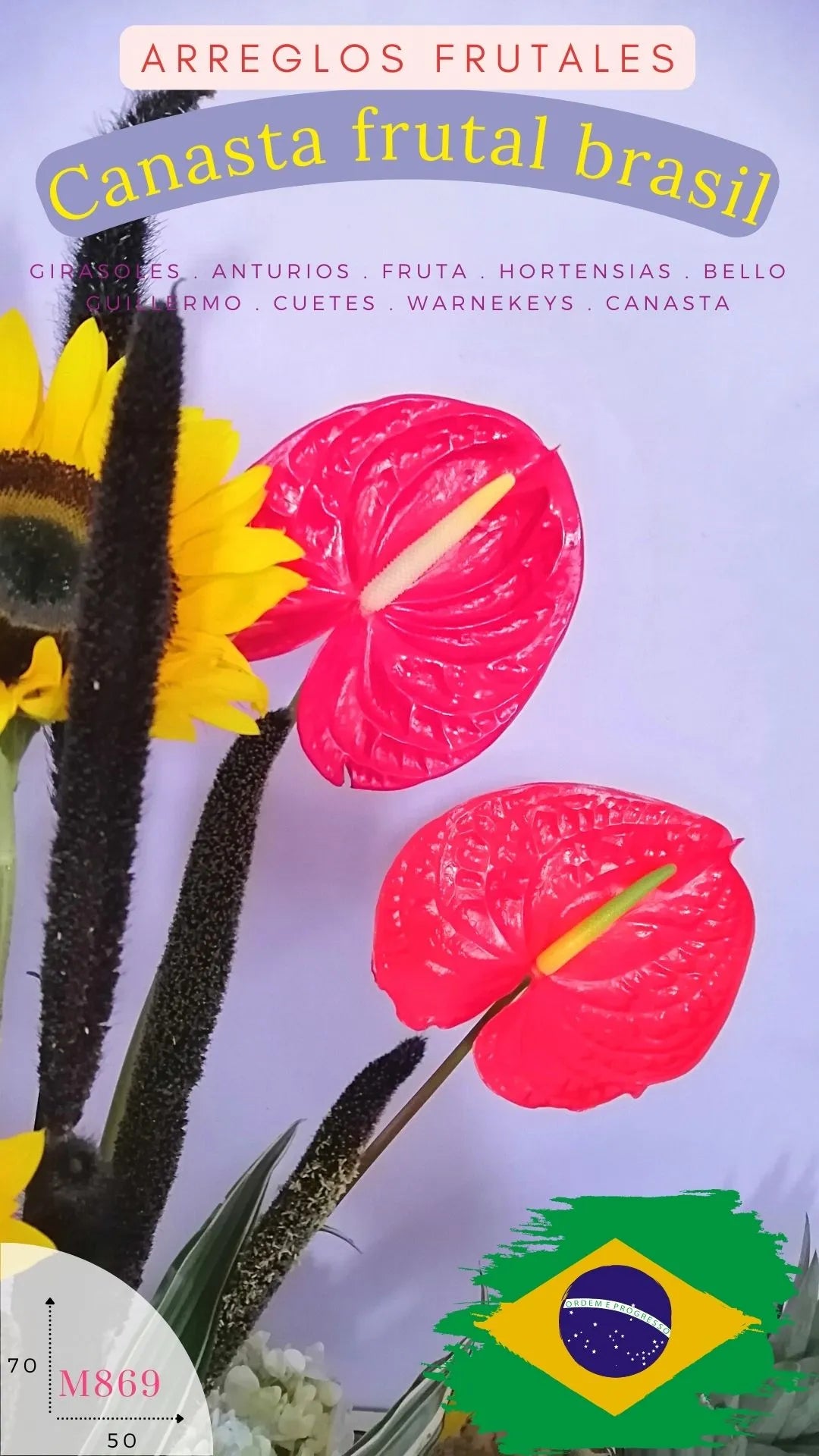 Canasta Brasil: 6 Girasoles y Anturios · foto 4