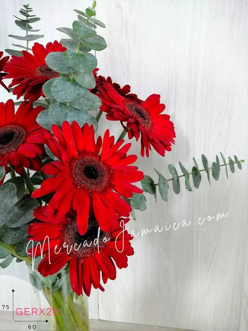 Arreglo 12 Gerberas Rojas con Florero · foto 2
