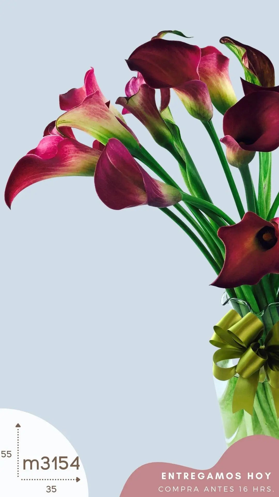 20 Callas Moradas en Florero | Entrega · foto 3