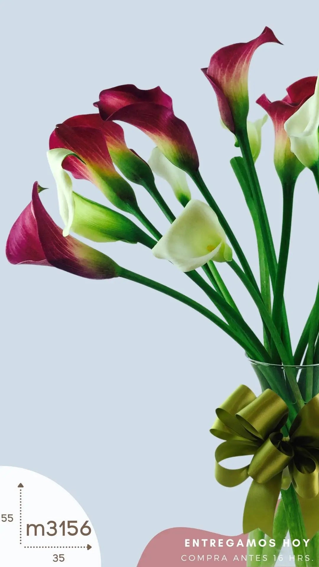 20 Callas Moradas y Blancas en Florero · foto 3