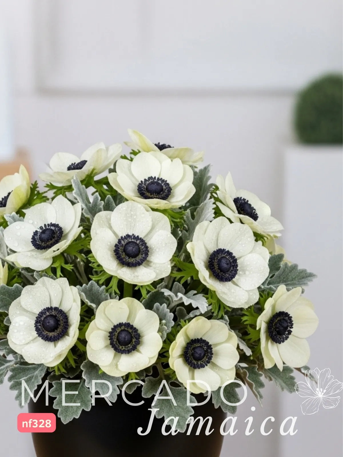 20 Anémonas Blancas en Florero Bowl · foto 3
